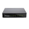 Yeastar P520